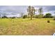 Large backyard with mature trees offers plenty of space for outdoor enjoyment at 3065 E Central Ave, Bartow, FL 33830