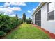 Lush backyard featuring green lawn, privacy hedges, and a screened-in patio area perfect for outdoor relaxation at 3711 Plymouth Dr, Winter Haven, FL 33884