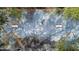 Overhead view of roof with skylights and leaves scattered on the roof at 428 Garrett Ridge Ct, Winter Haven, FL 33880