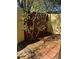 Brick-paved patio area enclosed by a red fence and a green leafy tree at 683 Broadmoor Cir # 683, Winter Haven, FL 33884