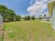Spacious backyard featuring green grass and trees at 91 W Cedarwood Cir, Kissimmee, FL 34743