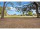 Expansive open field with large trees, offering a serene and natural landscape at 2254 Firestone Pl # 2254, Winter Haven, FL 33884