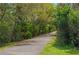 Picturesque walking path winding through lush greenery and natural surroundings at 315 Bayberry Dr, Polk City, FL 33868