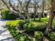 Landscaped front yard featuring verdant bushes, pink flowers, shade trees and a circular driveway at 3614 Twisted Oak Ct, Lake Wales, FL 33898