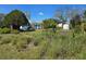 The backyard of a single Gathering home on an overgrown lot at 915 Exmoor Way, Lake Wales, FL 33853