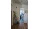 View into a blue and white bathroom at 915 Exmoor Way, Lake Wales, FL 33853