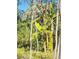 Tropical banana trees at 990 Brooke Rd, Fort Meade, FL 33841