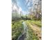 Serene waterway with abundant green plant-life, creating a tranquil and natural setting at 990 Brooke Rd, Fort Meade, FL 33841