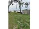 Lush backyard with grass, shed, and a view of the water at 1405 N Lake Reedy Blvd, Frostproof, FL 33843
