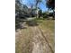 A large backyard showing the boundary lines, grass, and trees of the backyard at 334 Main St, Haines City, FL 33844