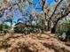 A spacious backyard with mature trees offering shade, along with a mix of lush landscaping and natural ground cover at 407 Paradise Island Dr, Haines City, FL 33844
