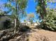 Expansive backyard with a wooden deck, privacy fence, mature trees and various plants that provide a serene outdoor oasis at 407 Paradise Island Dr, Haines City, FL 33844