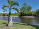 Picturesque lake view with clear water, lush greenery, and a majestic palm tree in the foreground at 4168 Aberdeen Ln, Lake Wales, FL 33859