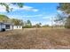 Spacious back yard with a shed and mature trees, providing ample room for outdoor activities at 6261 Red Grange Blvd, Indian Lake Estates, FL 33855