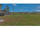 Expansive backyard featuring lush green grass, a secure fence, and plenty of room for outdoor activities at 225 Babson Dr, Babson Park, FL 33827