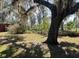 Yard featuring a large tree, grass, and partial fence view at 261 Acacia Walk, Lake Wales, FL 33898