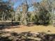 Yard featuring trees with Spanish moss and grass at 261 Acacia Walk, Lake Wales, FL 33898