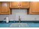 Detailed view of kitchen sink, faucet, and countertop with soap and towel at 4016 Cypress S Lndg, Winter Haven, FL 33884