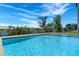 Beautiful in-ground pool with manicured landscaping at 4717 Emerald Palms Ct, Winter Haven, FL 33884