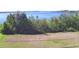 A picturesque view showcasing lakefront land with grassy lawn and natural foliage along the water's edge at 122 Wgto Tower Rd, Lake Alfred, FL 33850