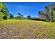 Expansive lawn area with scattered trees, offering a serene and spacious outdoor environment at 122 Wgto Tower Rd, Lake Alfred, FL 33850
