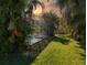 Lush backyard featuring mature trees and a screened pool enclosure at 1409 Berkley Ct, Winter Haven, FL 33880
