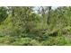 A view of the wooded area surrounding the property, featuring lush greenery and tall trees at 214 Brook Ln, Polk City, FL 33868