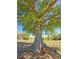 Spacious lot featuring mature trees, chain-link fence, and an inviting space at 218 Omaha St S S St, Lake Hamilton, FL 33851