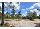 A charming single-story home surrounded by lush trees and a beautifully landscaped yard at 3120 Oleander Dr, Indian Lake Estates, FL 33855