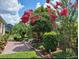 Beautiful backyard featuring lush greenery, vibrant pink flowers, and a well-maintained brick pathway at 3710 Plymouth Dr, Winter Haven, FL 33884
