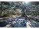 Wide front yard featuring lush trees and ample space for various outdoor activities and serene enjoyment at 4010 Paw Paw Trl, Lake Wales, FL 33898