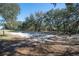 Expansive front yard offering ample space and a tranquil atmosphere amidst lush trees at 4010 Paw Paw Trl, Lake Wales, FL 33898