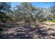 Beautiful lot with mature trees provides a serene and private setting for your dream home at 4010 Paw Paw Trl, Lake Wales, FL 33898