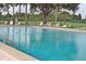 A refreshing pool view with lounge chairs, safety equipment, and a lush green landscape at 460 Pinehurst Ct, Winter Haven, FL 33884