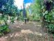 Large backyard oasis, enhanced by mature trees and lush vegetation providing privacy at 799 W Lake Otis Dr, Winter Haven, FL 33880