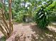 Lush backyard featuring unique concrete structure adorned with foliage, adding character to the landscape at 799 W Lake Otis Dr, Winter Haven, FL 33880