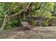 A rustic wooden yard swing hangs from a large tree in the lush backyard at 903 S Lakeview Ave, Bartow, FL 33830