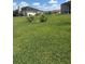 Spacious backyard with lush green grass and young fruit trees, creating a peaceful and inviting space at 1403 Hidden Creek Ln, Winter Haven, FL 33880