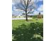 Expansive backyard featuring a large tree, providing shade and a serene atmosphere on the property at 1403 Hidden Creek Ln, Winter Haven, FL 33880
