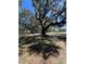 Property with majestic trees covered in moss providing shade and character, enhancing the landscape at 180 Old Connersville Rd, Bartow, FL 33830