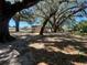 Charming cottage surrounded by mature trees, creating a peaceful and secluded retreat on a large lot at 180 Old Connersville Rd, Bartow, FL 33830