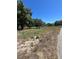 Beautiful homesite with mature trees ready for new construction, offering privacy at 180 Old Connersville Rd, Bartow, FL 33830