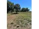 Cleared land features mature trees, promising a serene and picturesque setting at 180 Old Connersville Rd, Bartow, FL 33830