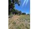 Expansive lot surrounded by mature trees under a bright blue sky at 180 Old Connersville Rd, Bartow, FL 33830