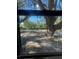 View from inside a window featuring mature trees and an empty lot at 180 Old Connersville Rd, Bartow, FL 33830