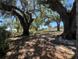 Spacious yard with mature trees providing ample shade and a picturesque setting at 180 Old Connersville Rd, Bartow, FL 33830