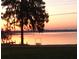 Waterfront lot with amazing sunset views, water access, and dock for relaxing at 2096 Lake Ariana Blvd, Auburndale, FL 33823