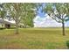 Expansive green backyard with scattered leaves surrounded by mature trees and lush landscaping at 2654 Rutledge Ct, Winter Haven, FL 33884
