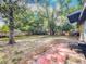 Expansive backyard shaded by mature trees, featuring a mix of grass and natural ground cover at 320 S Elm Rd, Lakeland, FL 33801
