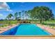 Community swimming pool with clear blue water surrounded by lounge chairs and palm trees at 409 Greenfield Rd, Winter Haven, FL 33884